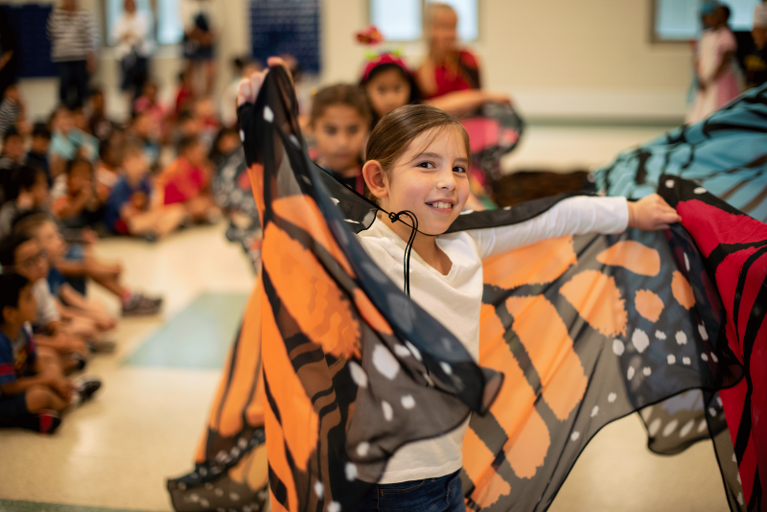 Bug Wings